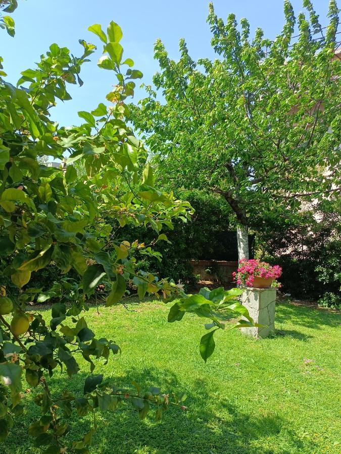 Il Giardino A Boccadasse Genua Exteriör bild